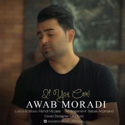 Awab Moradi   –  If You Can